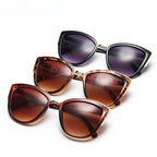 Cat  Polarized